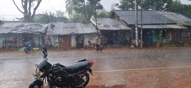 Daringbadi Delight: Immerse in Authentic Rural Odisha Exper - Additional Information