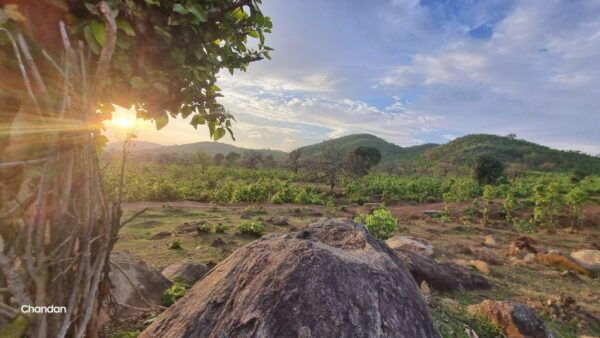 Daringbadi Delight: Immerse in Authentic Rural Odisha Exper - Frequently Asked Questions