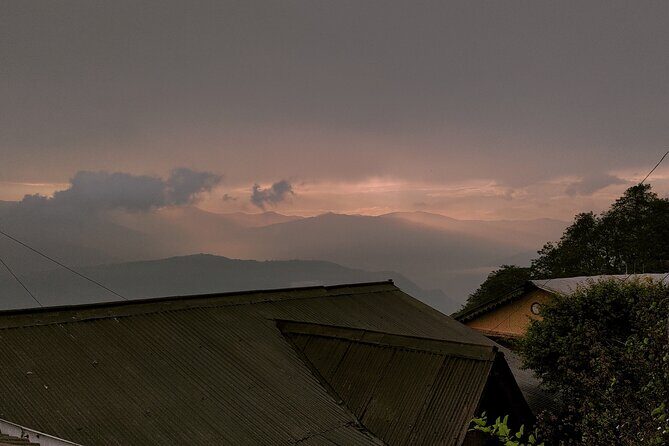 Darjeeling Forests on Foot - Good To Know
