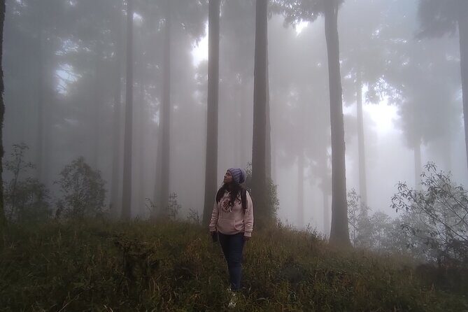 Darjeeling Forests on Foot - Frequently Asked Questions