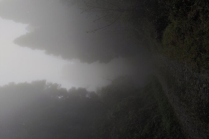 Darjeeling Forests on Foot - Final Thoughts