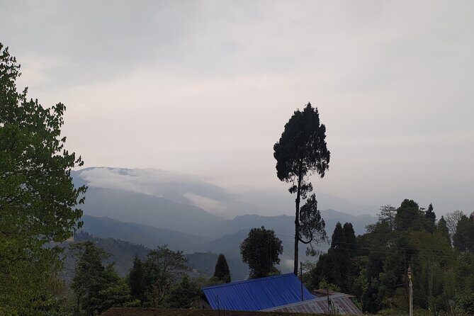 Darjeeling Forests on Foot - Good To Know