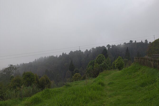 Darjeeling Forests on Foot - Authentic Encounters and Local Culture