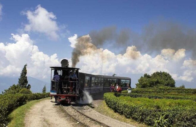 Darjeeling: Full-Day Guided Sightseeing Tour by Car - Tour Description