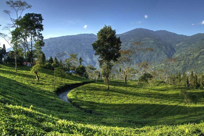 Darjeeling Hills Escape for 3 Nights and 4 Days Private Tour - FAQs