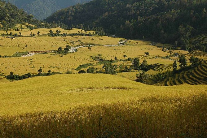 Darjeeling Sikkim Eco Village Tour - Customer Reviews and Satisfaction