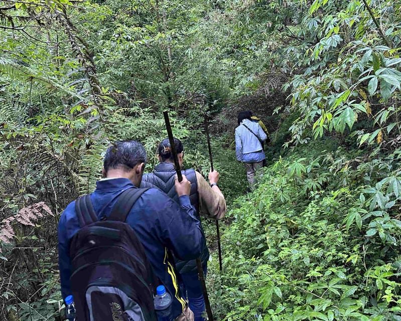 Darjeeling: Tiger Hill Sunrise Hike Guided Day Trip - FAQ