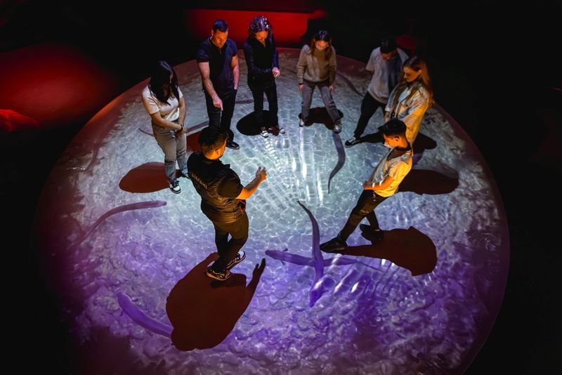 Dark Sky Projects Maori Cultural Astronomy Experience in Tekapo - Four zones in a 45-minute visit