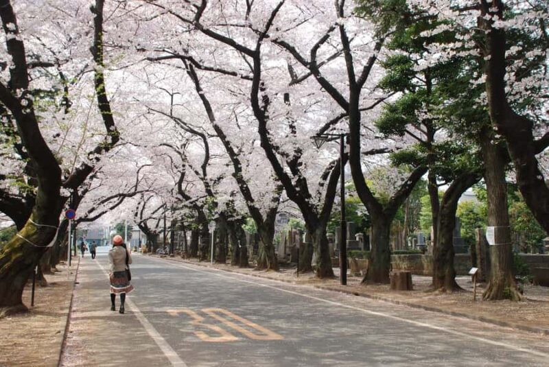 Dark Traditional Tour|The Origin: Mythology and Samurai. Ueno+Yanaka - Who Should Join This Tour?