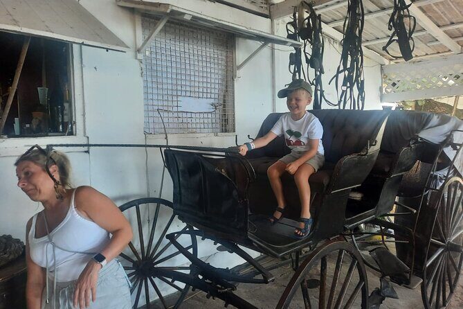 Dark View Falls & Botanical Gardens with Trubb Taxi Tours - Frequently Asked Questions