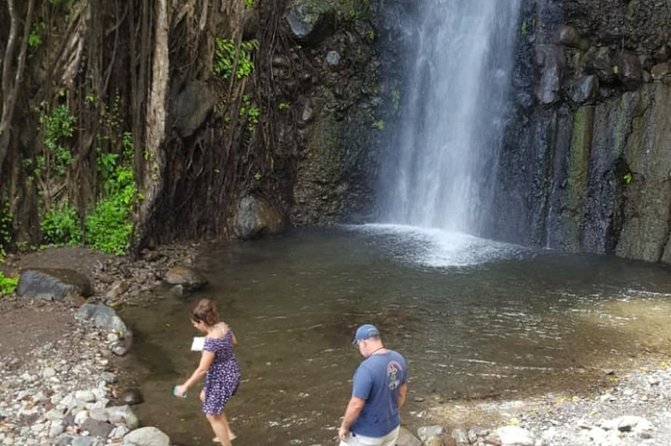 Dark View Falls Half-Day Tour - Review Summary