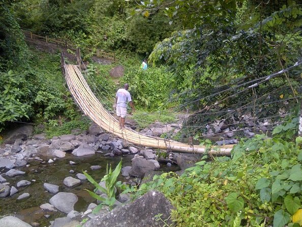 Dark View Falls Half-Day Tour - Viator and Tripadvisor Ratings
