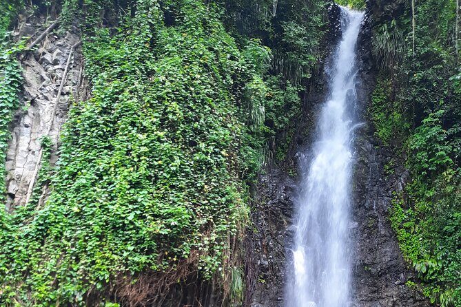Dark View Falls - St. Vincent - Exploring the Dark View Falls Tour in St. Vincent: A Deep Dive into Natural Beauty and Local Charm