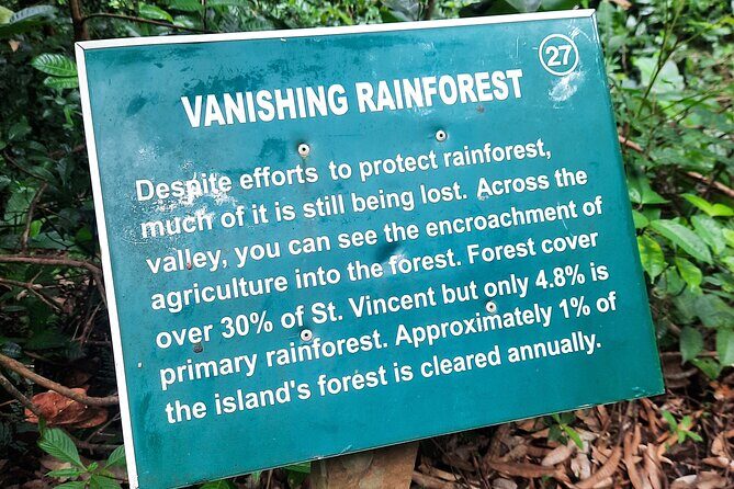 Dark View Falls - St. Vincent - Final Thoughts