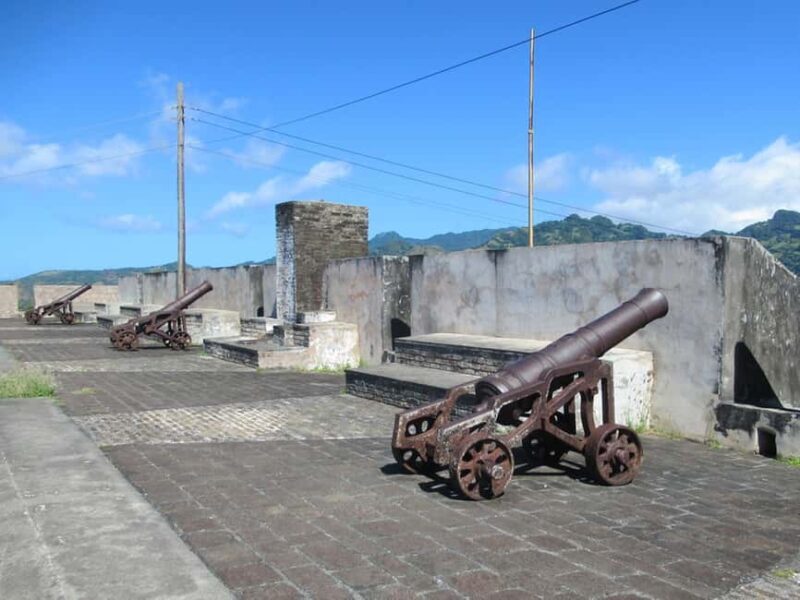 Dark View Falls Tour with Trubb Taxi Tours SVG - Practical Details and Value