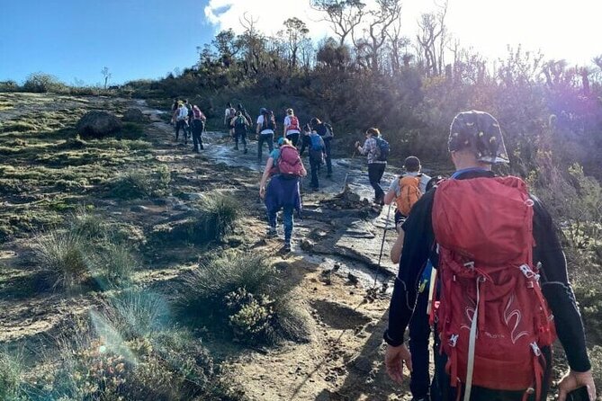Darling Range Twin Peaks Hike - Hike Overview