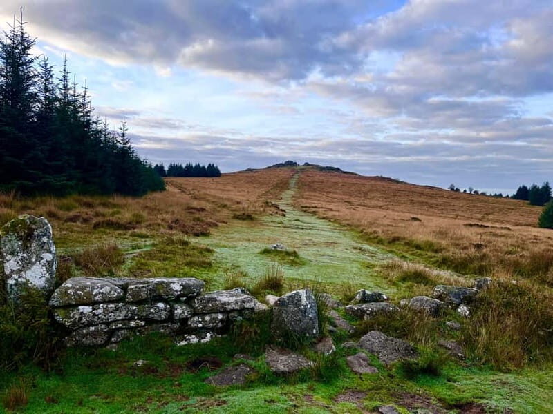 Dartmoor National Park: Half Day Guided Hiking Tour - FAQ