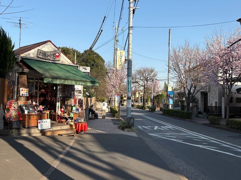 Daruchans House: Daruma Cloth-Covering Experience - Timing and what the price covers
