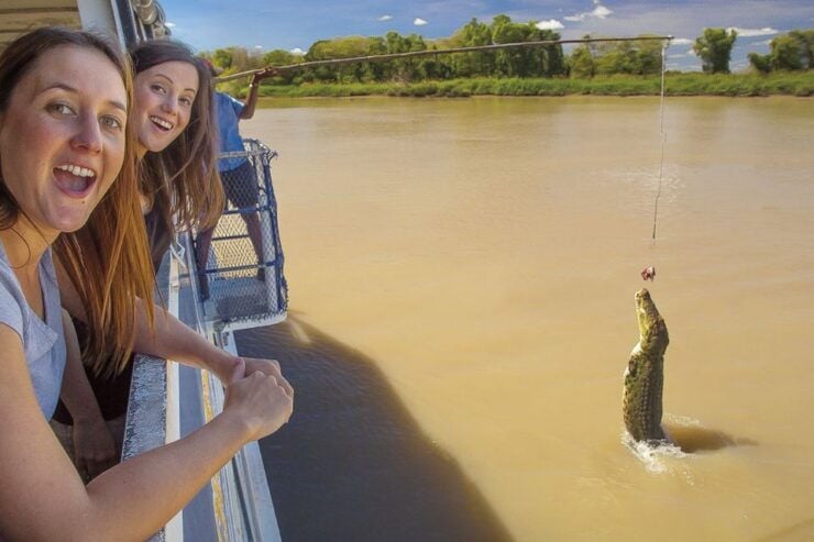 Darwin: Adelaide River Half-Day Jumping Crocs Cruise - Activity Information