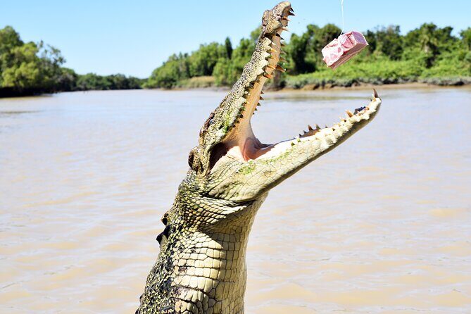 Darwin: Adelaide River Queen Original Jumping Crocodile Cruise - The Experience for Different Travelers