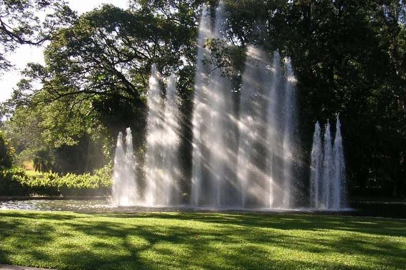 Darwin City Explorer Tour - Darwin’s history in one guided day