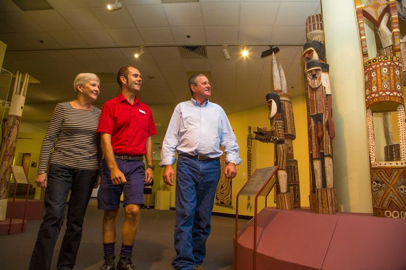 Darwin City Sights Half Day Tour - Aboriginal art, natural sciences and local culture