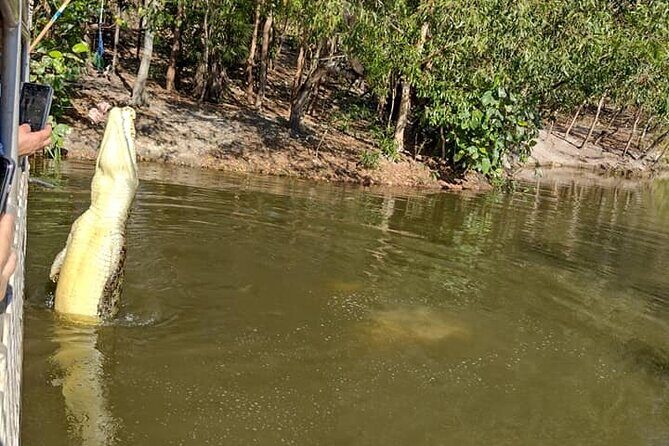 Darwin City Tour + Crocodile Cruise+Lunch Optional - Review of the Darwin City Tour + Crocodile Cruise + Lunch (Optional)