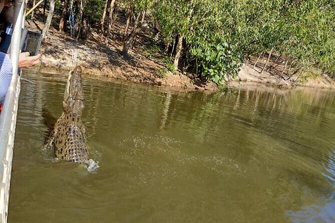 Darwin City Tour + Crocodile Cruise+Lunch Optional - In-Depth Look at the Darwin City Tour + Crocodile Cruise