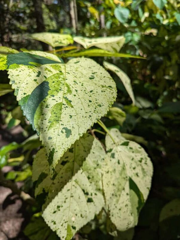 Darwin: Forage for an Outback Gourmet Feast & Sightseeing - Final Thoughts