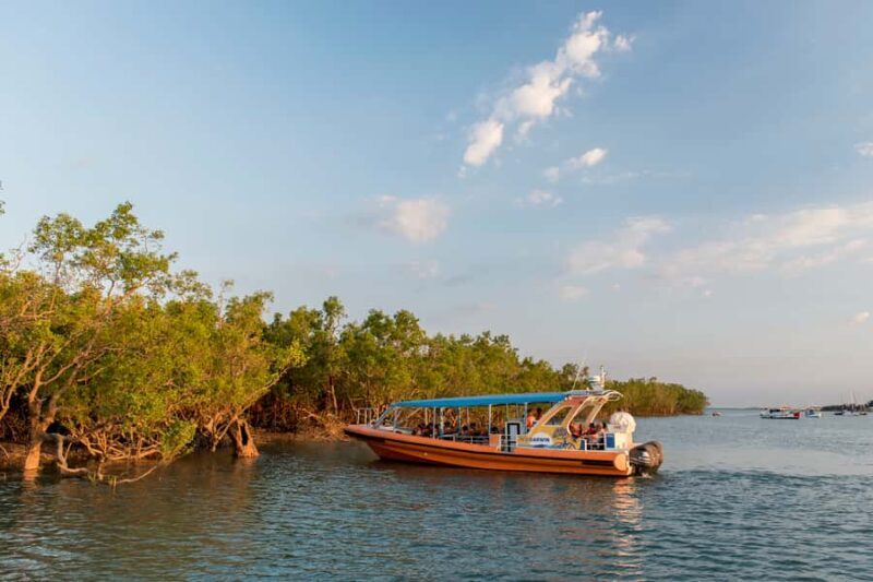 Darwin Harbour Cruise - Practical Details and Tips