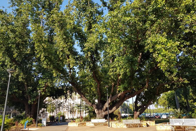 Darwin Heritage Walk - Common Questions