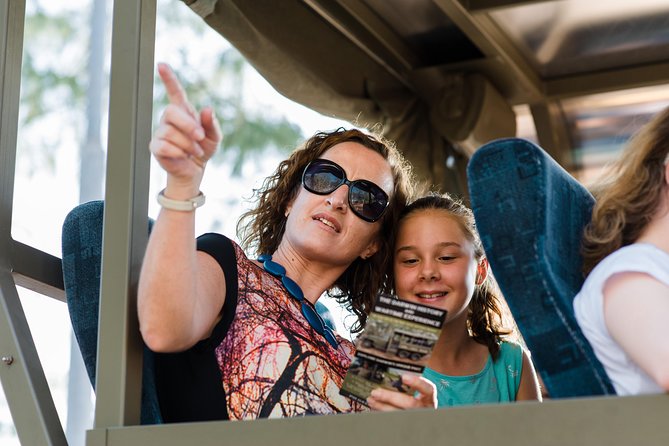 Darwin History and Wartime Experience Tour - Tour Highlights