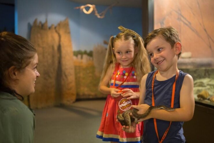 Darwin: Hop-On Hop-Off Bus, Crocosaurus Cove and RFDS Entry - Booking Details