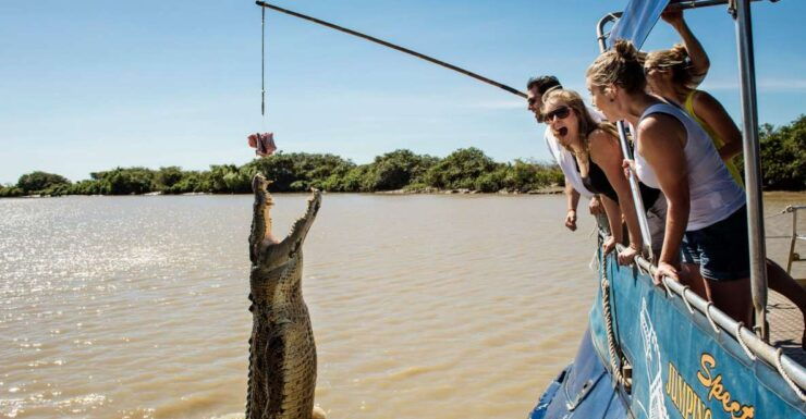 Darwin: Jumping Crocodile Cruise - Booking and Logistics