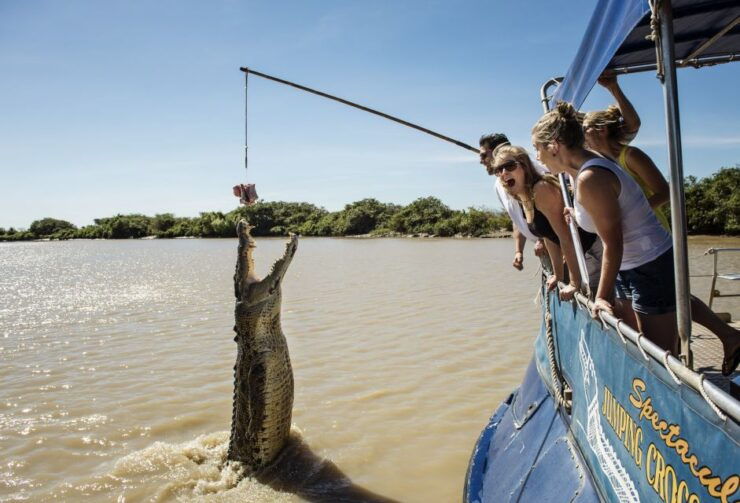 Darwin: Jumping Crocodile Cruise - Experience Highlights