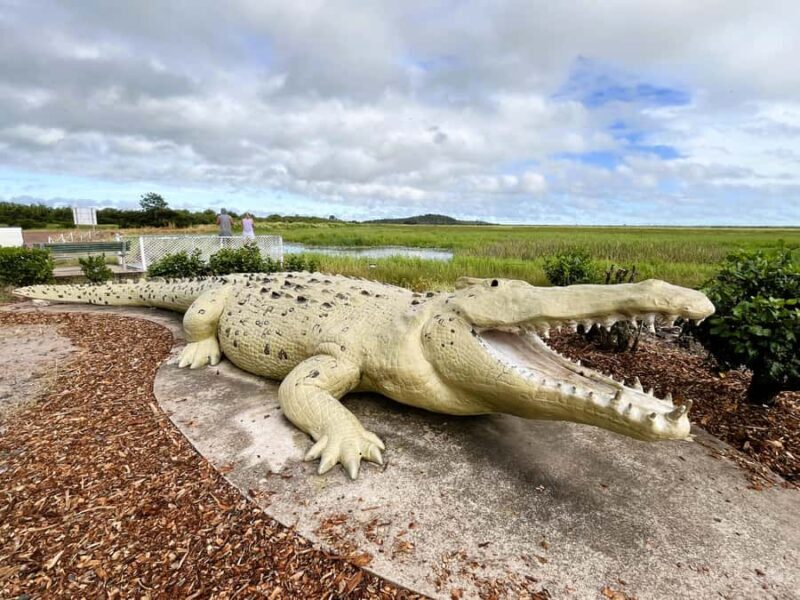 Darwin: Jumping Crocodile River Cruise with Shuttle Bus - The Sum Up