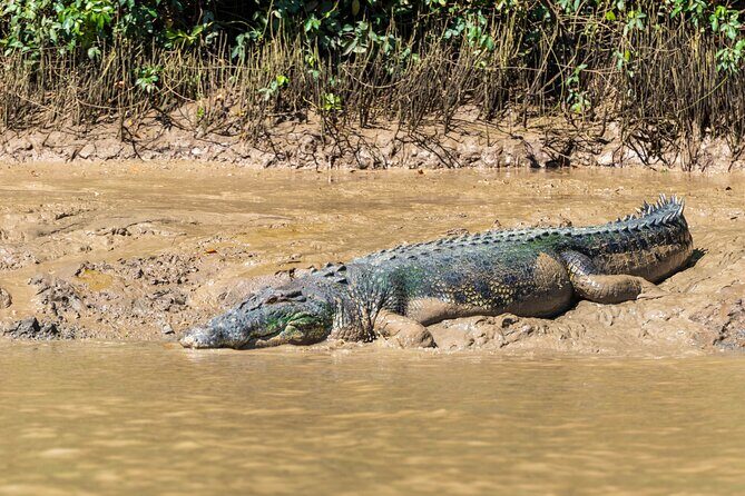 Darwin: Jumping Crocodiles & Barramundi Fishing tour - FAQs