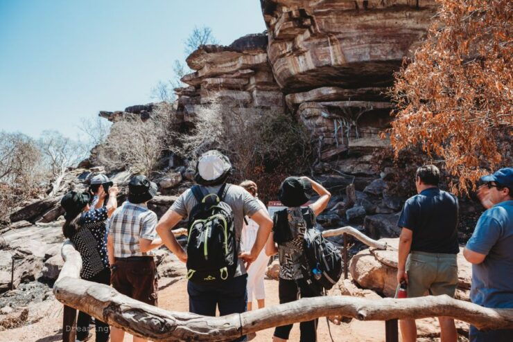Darwin: Kakadu National Park Cultural Day Tour With Lunch - Experience Highlights