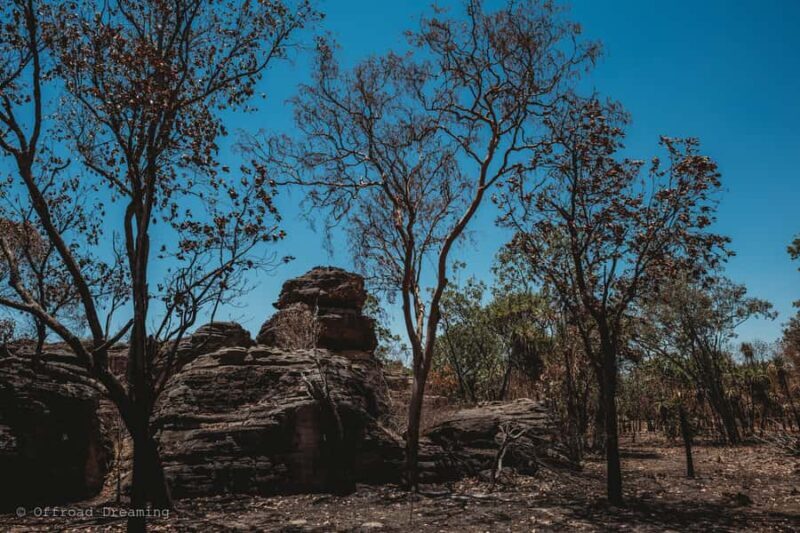 Darwin: Kakadu National Park Day Tour with Lunch - Who Is This Tour Best For?