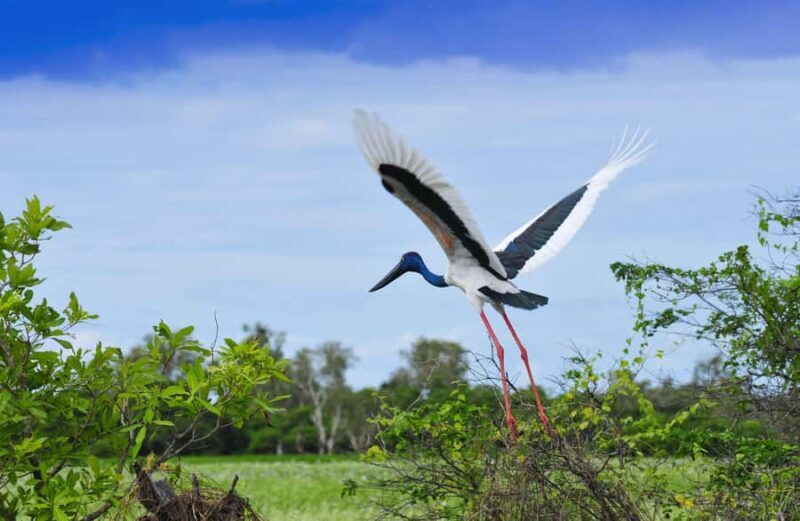 Darwin: Kakadu National Park, Yellow Water River Cruise - FAQs