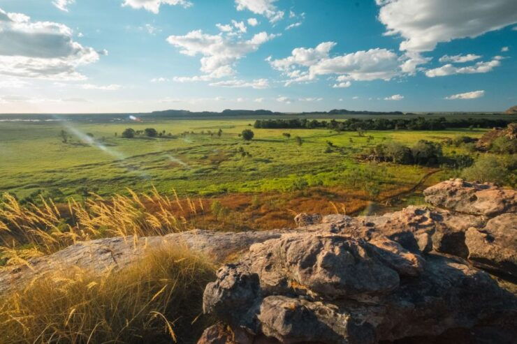 Darwin: Kakadu & Ubirr Cultural Experience - Experience Highlights
