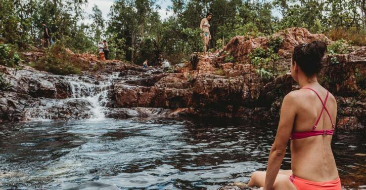 Darwin: Litchfield Day Tour and Private Crocodile Cruise - Experience Highlights