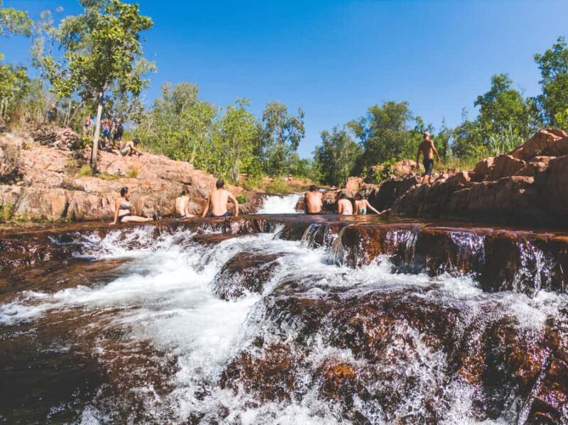 Darwin: Litchfield National Park Waterfalls & Wildlife Tour - Who Will Love This Tour?