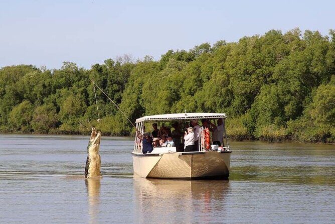 Darwin: Pathfinder Original Jumping Crocodile Cruise - What to Expect from the Darwin Pathfinder Crocodile Cruise
