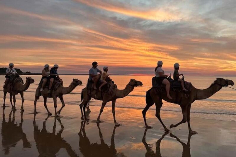 Darwin: Sunset Camel Ride along Mindil Beach - What to Expect from the Sunset Camel Ride