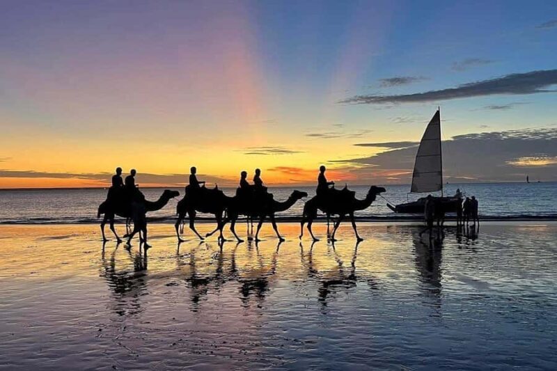 Darwin: Sunset Camel Ride along Mindil Beach - The Experience Provider: Darwin Camel Rides