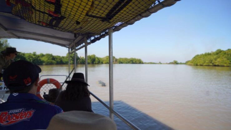 Darwin: The Croc Bus to the Famous Jumping Crocodile Cruise - Experience Highlights