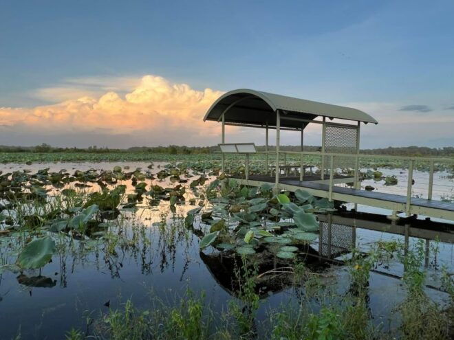 Darwin: The Croc Bus to the Famous Jumping Crocodile Cruise - Full Description