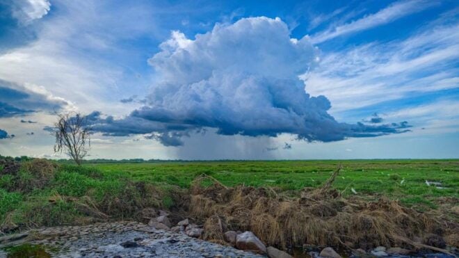 Darwin: The Croc Bus to the Famous Jumping Crocodile Cruise - Location and Ratings