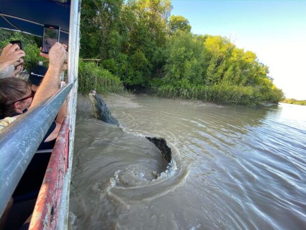 Darwin: The Croc Bus to the Famous Jumping Crocodile Cruise - Common Questions